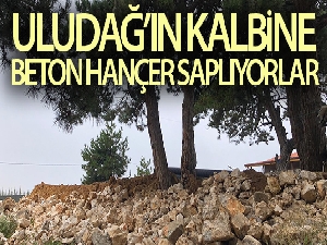 Uludağ'ın kalbine beton hançer saplıyorlar