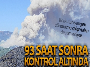 Hatay'daki orman yangını 93 saat sonra kontrol altına alındı