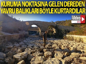 Aşırı sıcaklardan dolayı kuruma noktasına gelen kanyondaki dereden yavru balıkları böyle kurtardılar