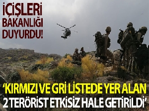 İçişleri Bakanlığı: 'Yıldırım-4 Munzur Kutu Operasyonu kapsamında 2 terörist etkisiz hale getirildi'