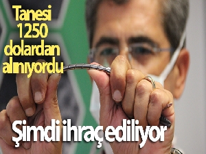 Tanesi 1250 dolardan alınıyordu şimdi ihraç ediliyor