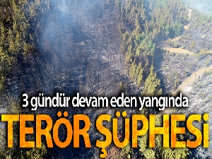Pozantı'daki orman yangınında terör şüphesi