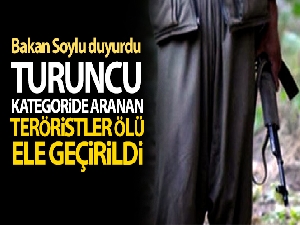 Bakan Soylu duyurdu: Biri turuncu kategoride aranan iki terörist etkisiz hale getirildi