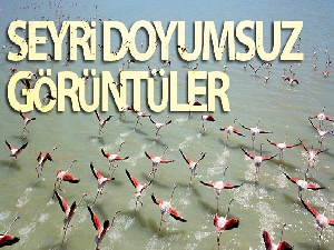 Flamingolar Arin Gölü'nü renklendiriyor
