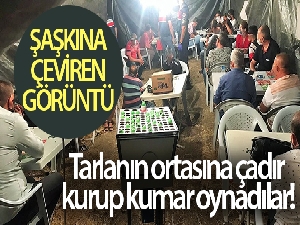 Jandarmayı şaşkına çeviren operasyon: Tarlanın ortasına çadır kurup kumar oynadılar
