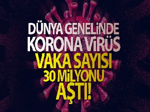 Dünya genelinde korona virüs vaka sayısı 30 milyonu aştı