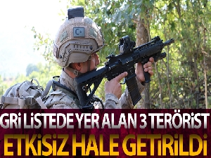 Hatay'da etkisiz hale getirilen 3 teröristin gri kategoride arandığı tespit edildi