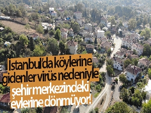 İstanbul'da köylerine gidenler virüs nedeniyle şehir merkezindeki evlerine dönmüyor