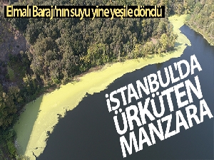 İstanbul'da ürküten manzara; Elmalı Barajı'nın suyu yine yeşile döndü