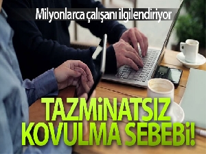 Mesai arkadaşına 'hayvan' deyince işten atıldı