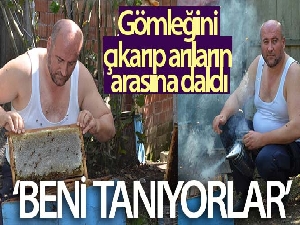 Ordulu çılgın arıcı, gömleğini çıkarıp arıların arasına daldı