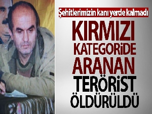 Kırmızı kategoride aranan örgütün sözde Botan saha sorumlusu öldürüldü