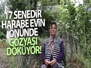 17 senedir harabe evin önünde her gün gözyaşı döküyor