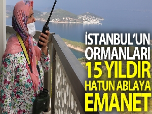 İstanbul ormanları 15 yıldır Büyükada'dan Hatun ablaya emanet