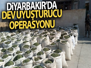 Diyarbakır'da son 9 ayda 97 milyon kök kenevir ve 42 ton esrar ele geçirildi