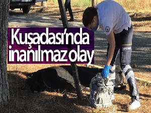 Kuşadası'nda inanılmaz olay