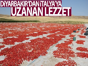 Diyarbakır'dan İtalya'ya uzanan lezzet: Kurutulmuş domates