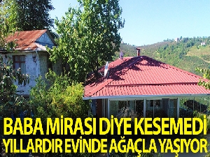 Baba mirası ağacı kesmeye kıyamadı, 8 yıldır evinin içerisinde ağaçla yaşıyor