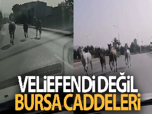 Veliefendi değil Bursa caddeleri
