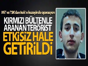 Kırmızı bültenle aranan terörist etkisiz hale getirildi