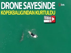 Avustralyalı sörfçü drone sayesinde köpek balığı saldırısından kurtuldu