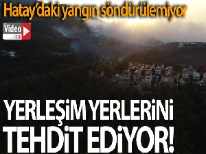 Hatay'da orman yangınları
