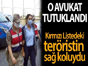 Kırmızı kategoride aranan teröristin sağ kolu olan avukat tutuklandı