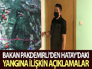 Bakan Pakdemirli Hatay'daki orman yangınına ilişkin açıklamada bulundu