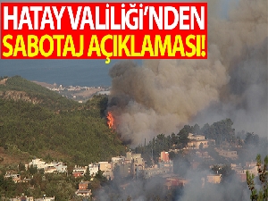 Hatay Valiliği: “Yangın ile ilgili gözaltına alınan var”