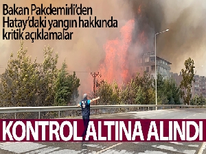 Tarım ve Orman Bakanı Pakdemirli: 'Hatay yangını kontrol altına alındı'