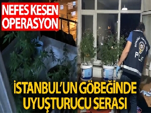 İstanbul'un göbeğindeki uyuşturucu serasına operasyon kamerada