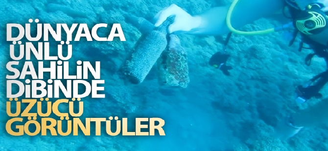 Aliyev: "Bu alçak eylemler Azerbaycan halkının iradesini asla kıramayacak"