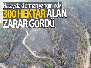 Hatay'daki orman yangınında 300 hektar alan zarar gördü