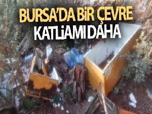 Bursa'da bir çevre katliamı daha