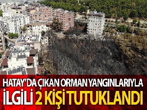 Hatay'daki orman yangınıyla ilgili 2 kişi tutuklandı