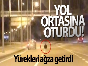 Otoyolda yol ortasına oturan kadın, ölüme davetiye çıkardı