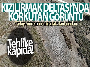Kızılırmak Deltası'nda korkutan görüntü