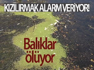 Türkiye'nin en uzun nehri Kızılırmak'ta kuraklık tehlikesi