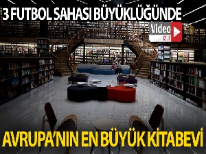 Arnavutköy'de minibüste şoke eden görüntü