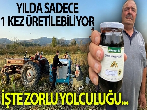 Yılda 1 kez üretilebilen şeker kamışı pekmezinin zorlu yolculuğu