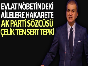 Çelik, Diyarbakır annelerine hakaret eden HDP'li Tosun'u kınadı