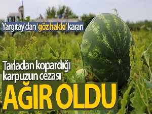 Yargıtay'dan göz hakkı ve karpuz kararı