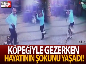 Köpeğiyle gezerken kedinin saldırısına uğrayan adam hayatının şokunu yaşadı