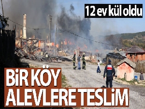 Bolu'da köyde çıkan yangın 12 evi kül etti