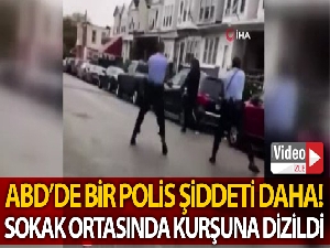 ABD'de siyahilere polis şiddeti