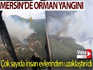 Mersin'deki orman yangını sürüyor