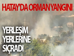 Hatay'daki yangın etkisini artırdı
