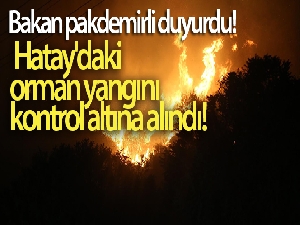 Bakan pakdemirli: '22 saatlik çalışmanın ardından Hatay'daki yangın kontrol altına alındı'