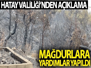 Hatay Valiliği: "Yangın mağdurlarına yardımlar yapıldı"