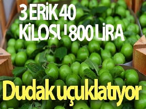 3 erik 40, kilosu 800 liraya satılıyor